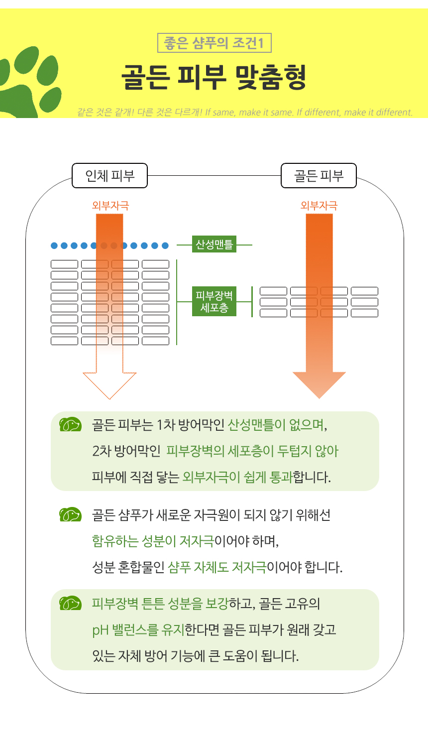 뼤Ǫ